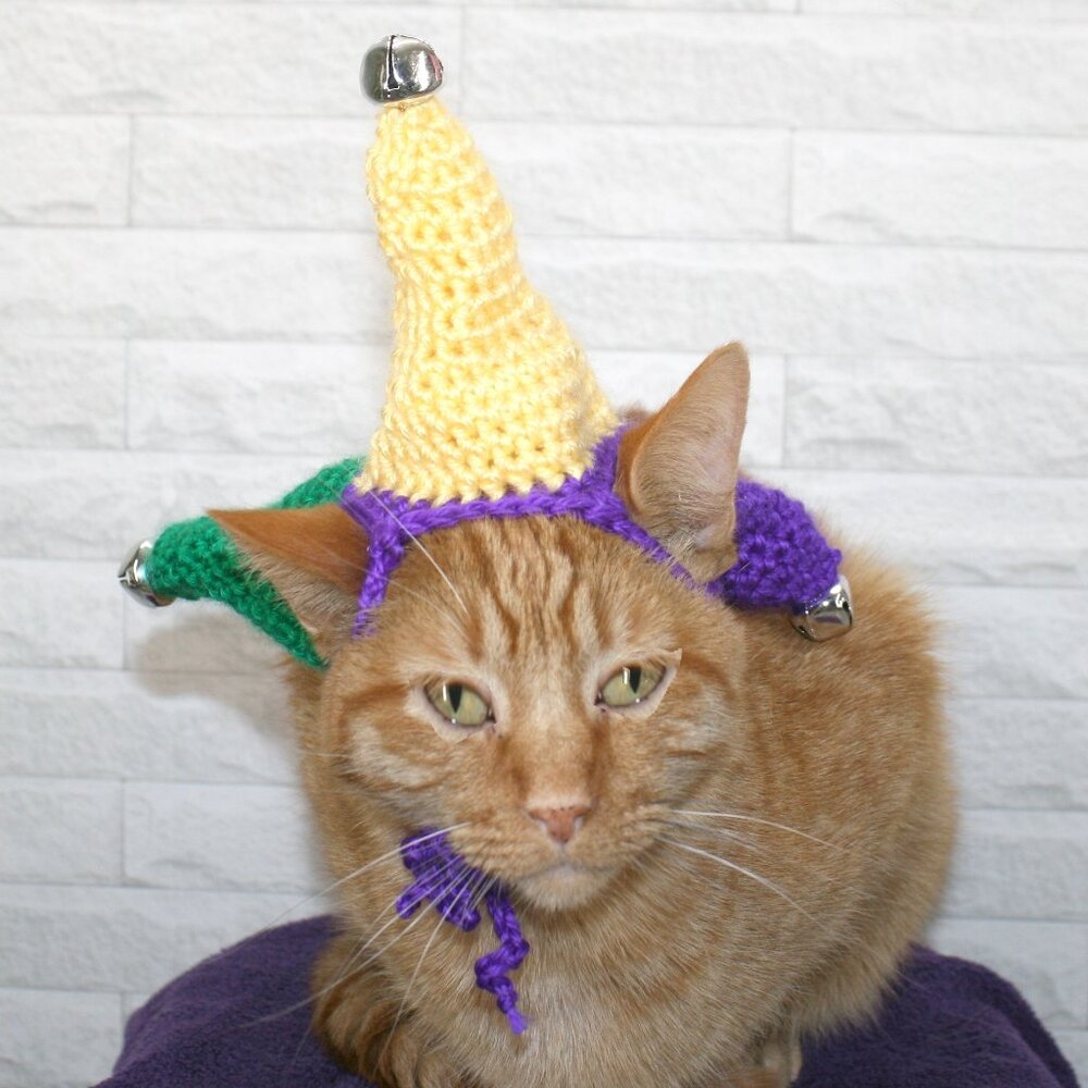 HAND CRAFTED Hat Crochet Jester Cap Mardi Gras Costume Photo Prop Pet Parade - Picture 4 of 15